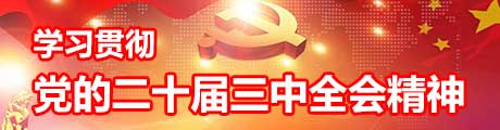 学习贯彻党的二十届三中全会精神