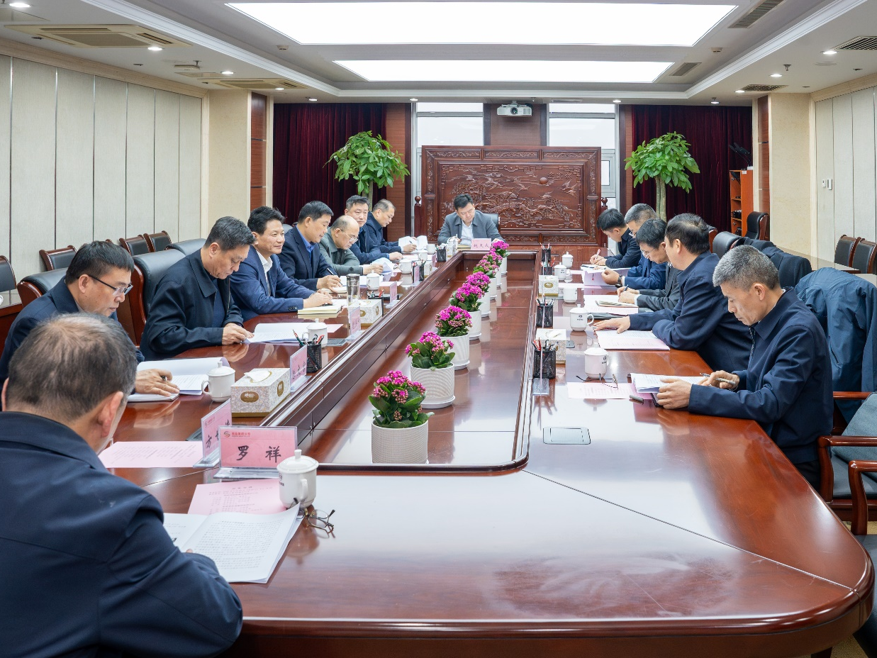 集团公司与国能神皖公司举行工作会谈